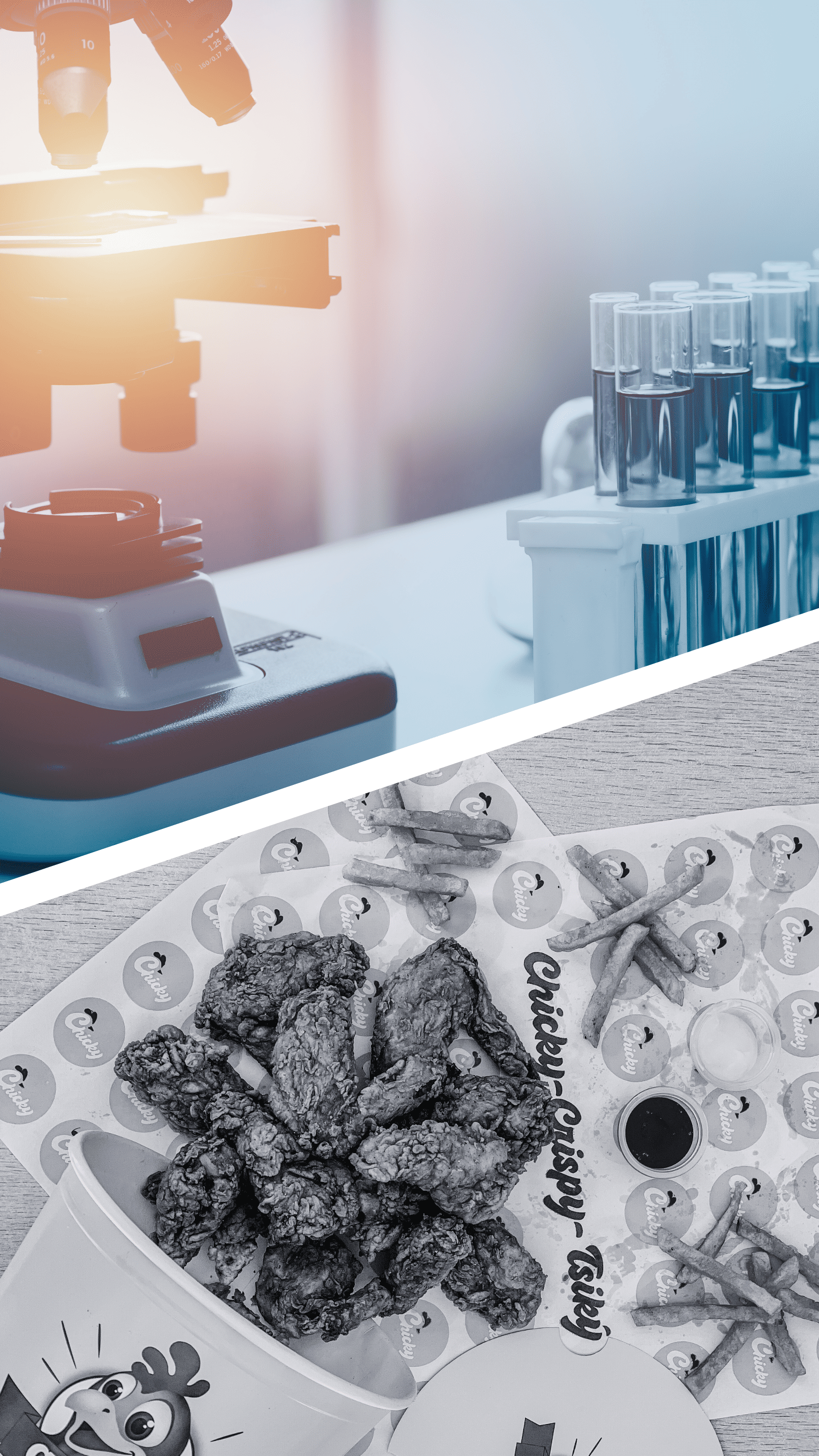 santé & nutrition humaine